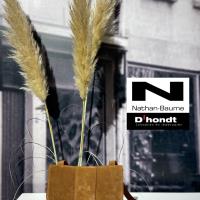 /Images/2020-2\Tassen\Nathan5.jpg - Schoenen d'Hondt